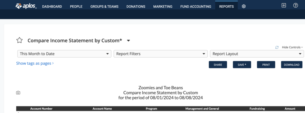 Income Statement by Tag report